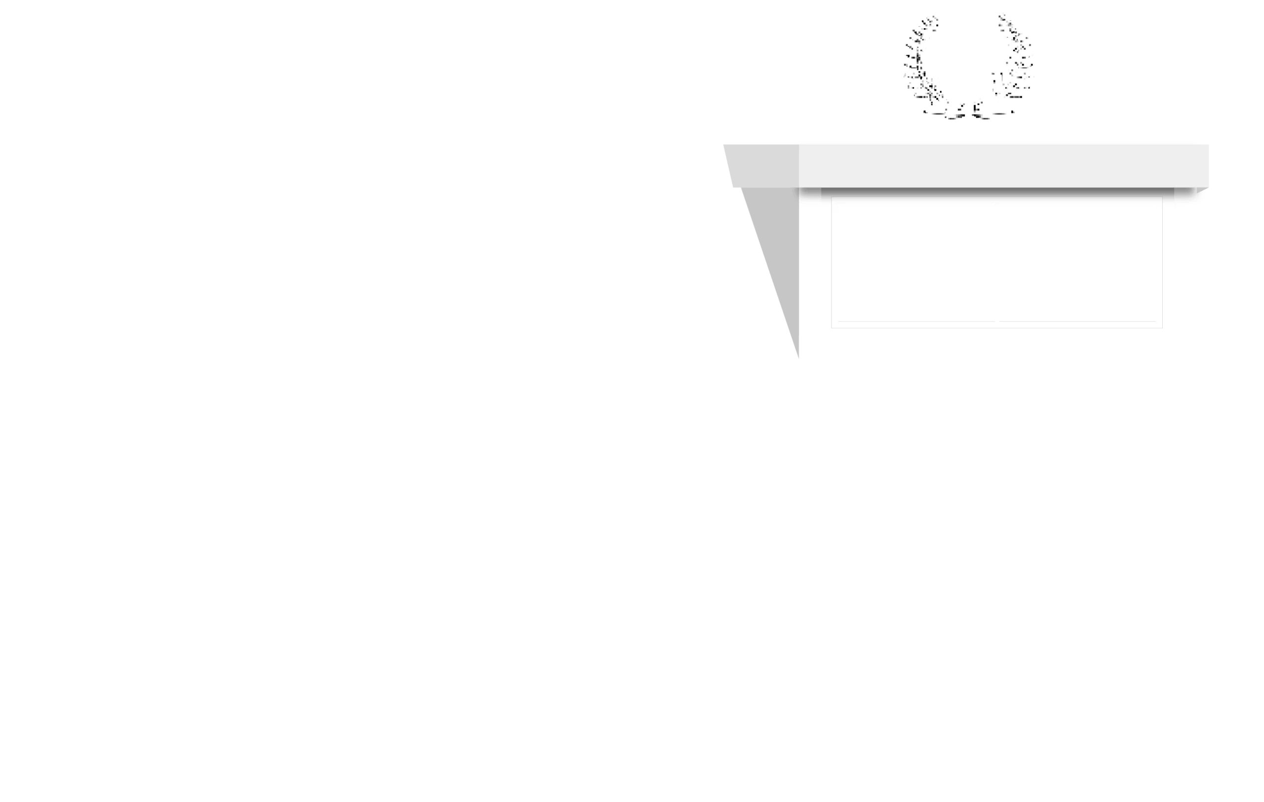 bas bosch