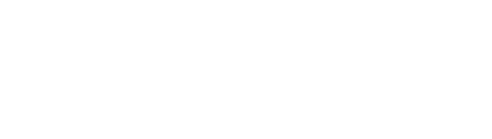 syc logo